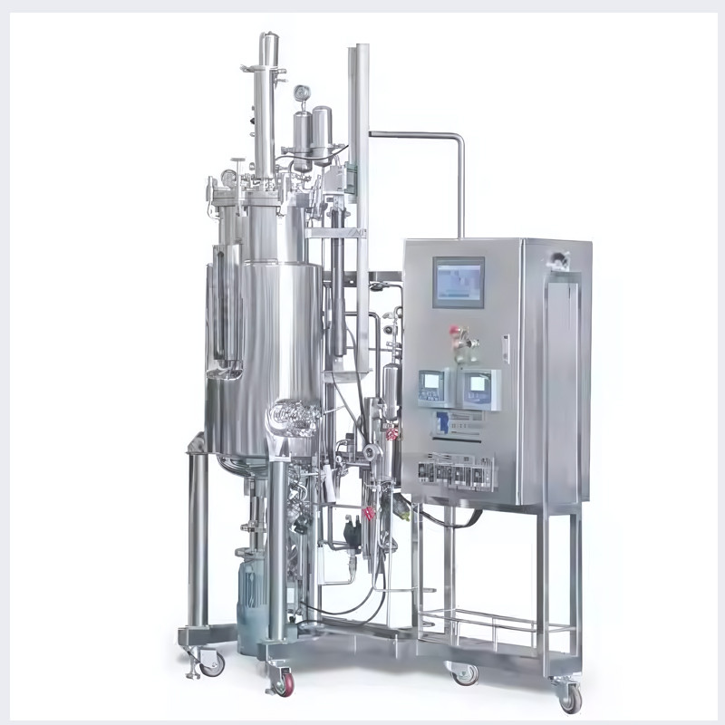 Bioreactors and Fermentors: The Backbone of Modern Biotechnology