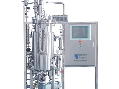 Bioreactors and Fermenters for Microbial Cell Culture: Unleashing the Potential of Microbial Growth and Production