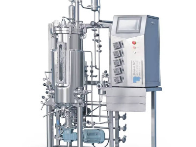 Chemical Engineering Bioreactor: A Pivotal Component in Modern Industrial Processes
