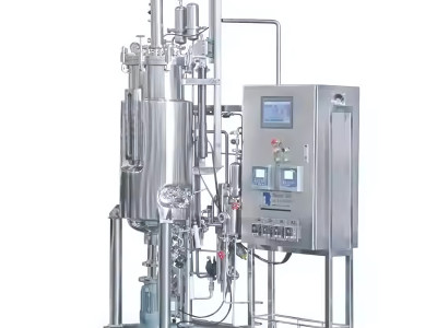 Bioreactors for Cell and Microbial Culture: The Heart of Biofermentation Tanks