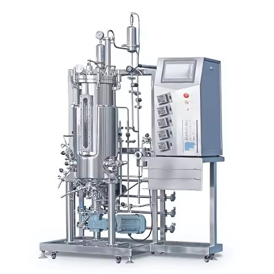 200l Industrial Batch Fermentation Bioreactor For Microbiology ss fermenter