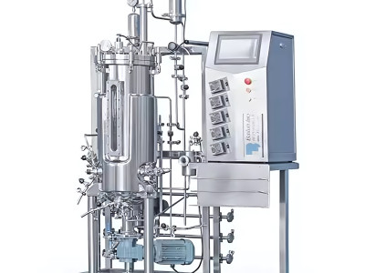 Tank Fermentation: The Powerhouse of Fermentation Reactors and Bioreactors for Sale