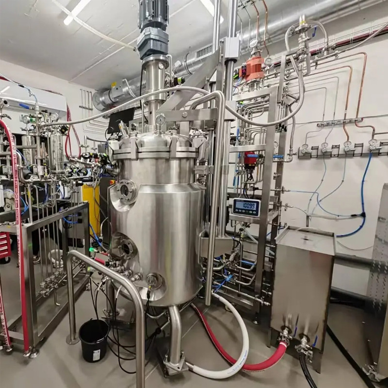 Stainless Steel Bioreactor Fermentation