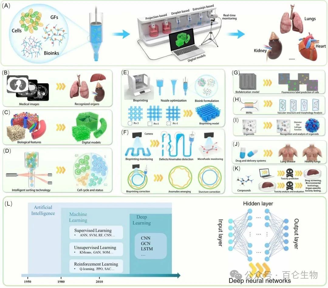 Fermentor Bioreactor