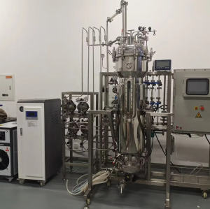 400l 500l 600l Cell Cultureure Bioreactor 1000l stirred tank bioreactor