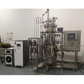 200l Bioreactor Stainless Steel Bioreactor bioreactor stainless fermenter