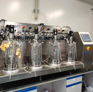 Customize Fermenter bioreactor industrial Fermentor Microbial Fermentation