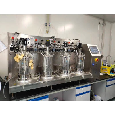 Customize Fermenter bioreactor industrial Fermentor Microbial Fermentation