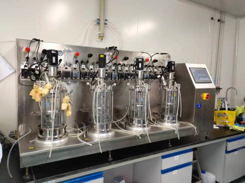 Customize Fermenter bioreactor industrial Fermentor Microbial Fermentation