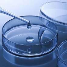 Leaders from Changzhou Economic Development Zone visited Bailun for investigation and research, discussing the development and future of big data in synthetic biology and biological reactions