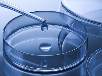 Leaders from Changzhou Economic Development Zone visited Bailun for investigation and research, discussing the development and future of big data in synthetic biology and biological reactions