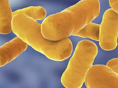 Sorting out industrial fermentation sterilization methods: heat sterilization, radiation sterilization, chemical sterilization, filtration sterilization