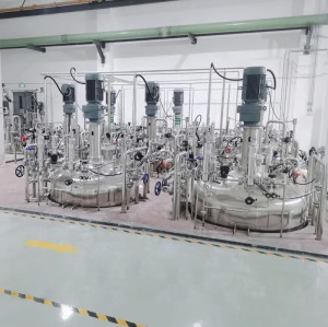 Stirred cell culture bioreactor 3