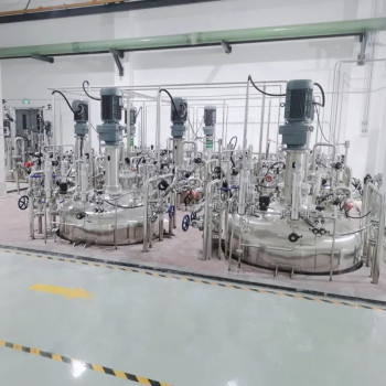 Stirring Bioreactor bioreactor Stirred Tank fermentation Process 50 gallon fermenter