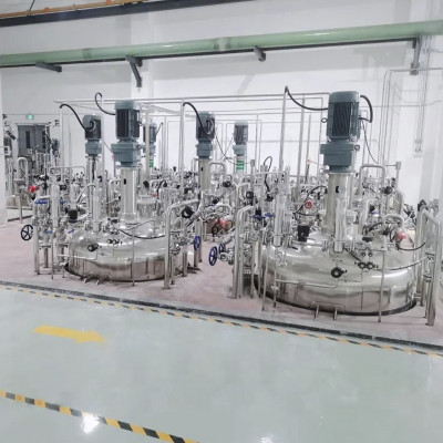 Stirring Bioreactor bioreactor Stirred Tank fermentation Process 50 gallon fermenter