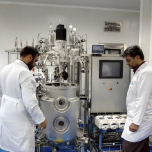 Why build a large-scale biological reaction model?