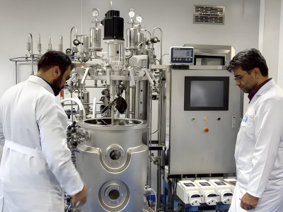 Why build a large-scale biological reaction model?