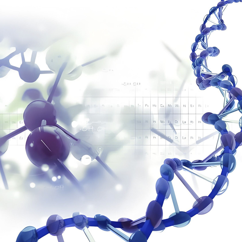 CCTV Report | Bailun Assistance Team - Synthetic Biology Promotes Efficient Production of PHA by Halophilic Bacteria!