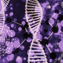 Witnessed by academicians, 7 major projects, 3 billion investment, Lianyungang hosts the Synthetic Biology Industry Development Conference!