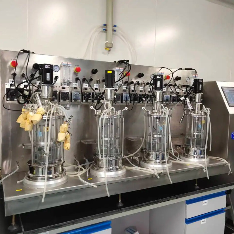 stainless steel bioreactor