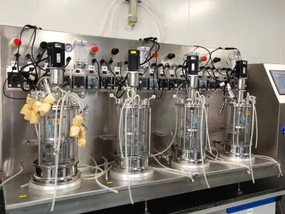 From being stuck in the neck to overtaking on the bend, China's 70% domestic production rate of bioreactors is causing multinational giants to "exit"!