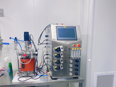 Let the cells feel refreshed! Reduce costs! Let the Earth cool down! Patterns derived from 100 biological reaction processes