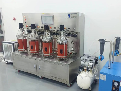 How to make software "understand" fermentation metabolism?