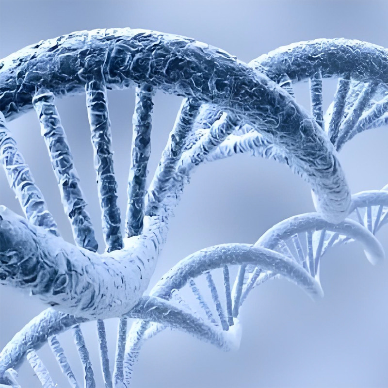 Winner takes all synthetic biology! Various regions are competing comprehensively in terms of policies, funds, parks, and talents!