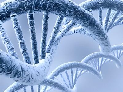 Winner takes all synthetic biology! Various regions are competing comprehensively in terms of policies, funds, parks, and talents!