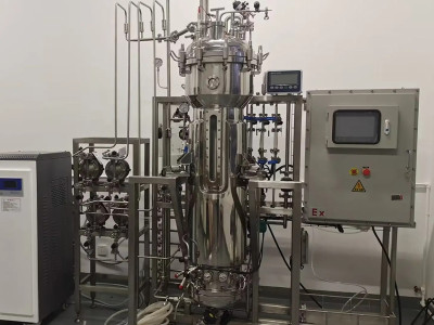 The temperature difference of 1 ℃ in the bioreactor has caused the enterprise to lose millions?