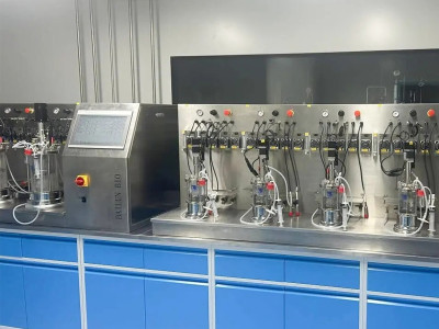 What is the difference in production between fermenters and shake flasks?