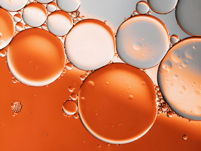 Experience of Pichia pastoris fermentation