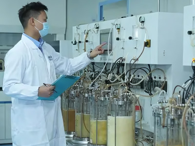 Must read! What are the opportunities and challenges for fermentation optimization in the era of synthetic biology?