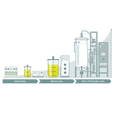 Amplification of fermentation process