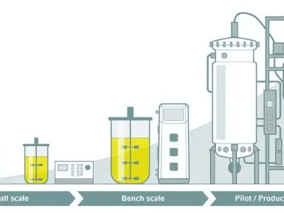 Amplification of fermentation process