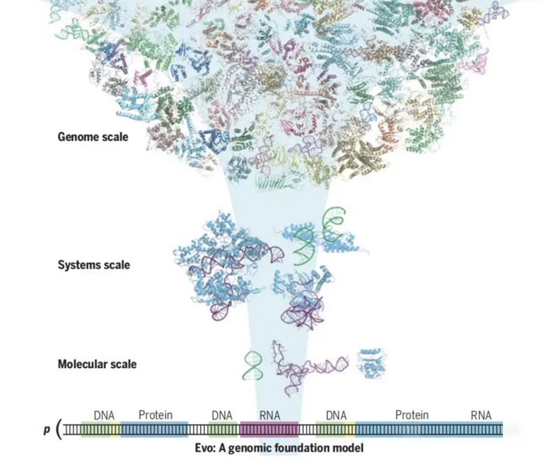 biological fermentation