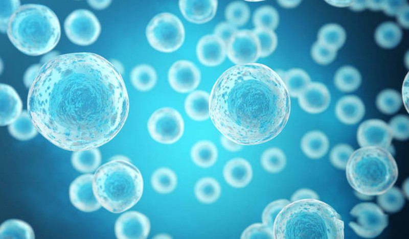 Animal cell culture - parameter control (speed, temperature, pH, DO)