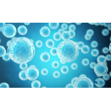 Animal cell culture - parameter control (speed, temperature, pH, DO)