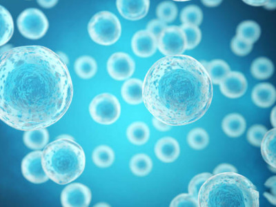 Animal cell culture - parameter control (speed, temperature, pH, DO)