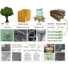 How can synthetic biology obtain financing? These two companies have told us the answer!