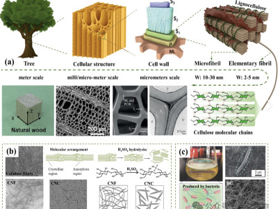 How can synthetic biology obtain financing? These two companies have told us the answer!