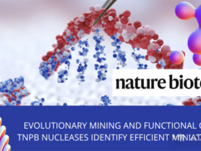 The top achievements, representative technologies, trillion dollar industries, and future of "big language model+biomanufacturing"!