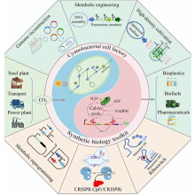 Top 10 Revolutionary Challenges! Why are there so many difficulties and endless fantasies in synthetic biology?