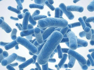 Do fermented foods contain probiotics? One article interpretation!