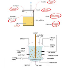 Guidelines for Avoiding Pits in Bioreactors: Incorrect sterilization parameters at 1 ℃ and incorrect selection of stirring blades can result in millions of losses per minute! (including 10 key details)