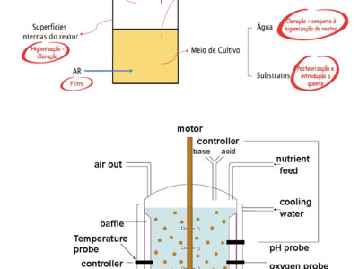 Guidelines for Avoiding Pits in Bioreactors: Incorrect sterilization parameters at 1 ℃ and incorrect selection of stirring blades can result in millions of losses per minute! (including 10 key details)