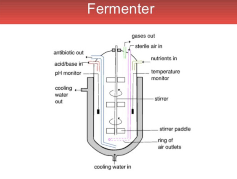 stainless fermenter