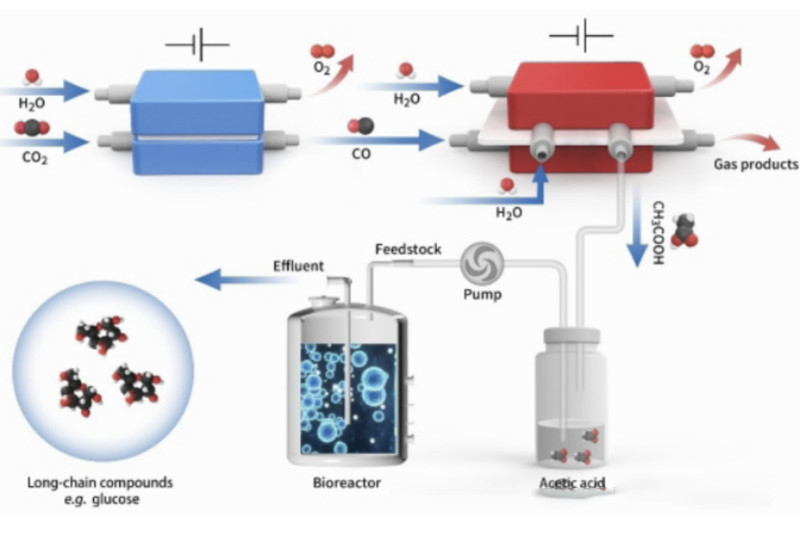 perfusion bioreactor