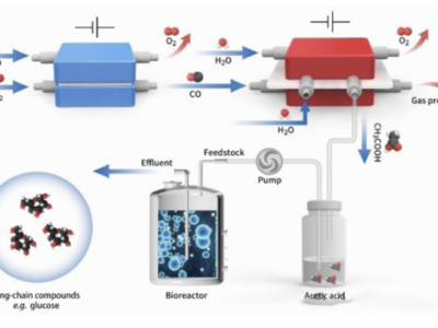 90% of people don't know that the yogurt you drink, the vaccines you get, and the biodegradable bags you use all come from this' biological magic jar '!