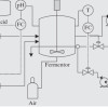 The secret to producing ten thousand tons annually! 10 Research and Practice Directions for Process Control for 